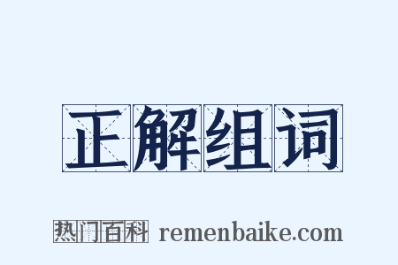 正解组词是什么意思的图片